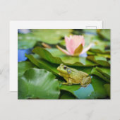 Niedlicher Frosch auf Lily Pad Foto Postkarte (Vorne/Hinten)