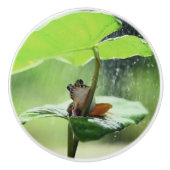 Niedlicher Frosch auf Lily Schöne Natur Keramikknauf (Vorderseite)