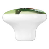 Niedlicher Frosch auf Lily Schöne Natur Keramikknauf (Seitenansicht)