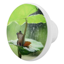 Niedlicher Frosch auf Lily Schöne Natur Keramikknauf