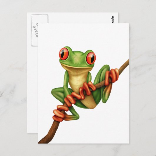 Niedlicher Frosch aus Grünem Baum auf einem Zweig Postkarte (Vorne/Hinten)
