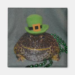 Niedlicher Frosch Magnet