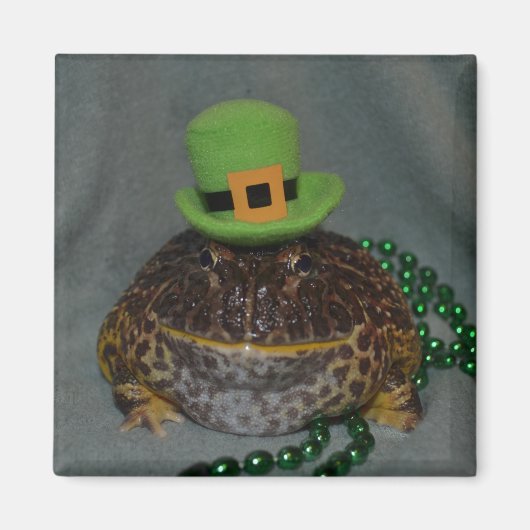 Niedlicher Frosch Magnet (Vorne)