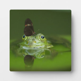 Niedlicher Frosch mit einem Schmetterling auf der  Fotoplatte