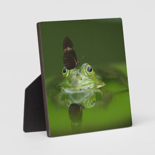 Niedlicher Frosch mit einem Schmetterling auf der  Fotoplatte (Vorderseite)