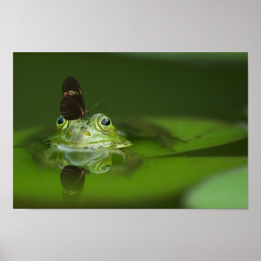 Niedlicher Frosch mit einem Schmetterling auf der  Poster (Vorne)
