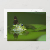 Niedlicher Frosch mit einem Schmetterling auf der  Postkarte (Vorne/Hinten)