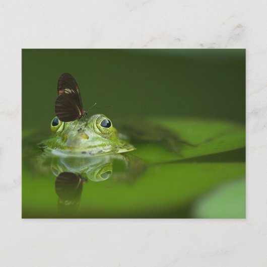 Niedlicher Frosch mit einem Schmetterling auf der  Postkarte (Vorderseite)