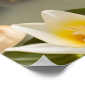 Niedlicher Frosch, Spaß im Badezimmer Kunst, Gesch Poster (Ecke)