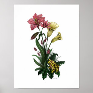 Niedlicher Frosch unter den Lilien Botanische Blüt Poster