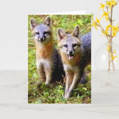 NIEDLICHER FUCHS ZWEI KARTE (Gelbe Blume)