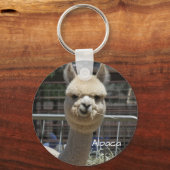 Niedlicher Funny Alpaca Schlüsselanhänger (Vorderseite)
