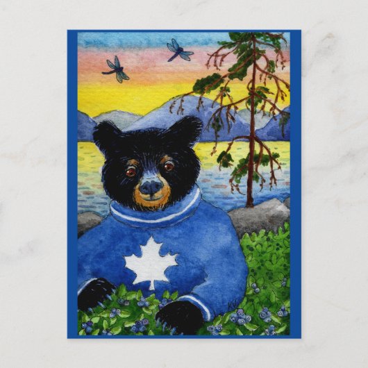 Niedlicher Funny Black Bear Algonquin Park Postkar Postkarte (Vorderseite)