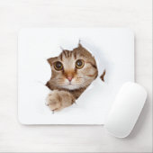 Niedlicher Funny Cat Tassen Cup Mousepad (Mit Mouse)