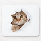 Niedlicher Funny Cat Tassen Cup Mousepad (Vorne)