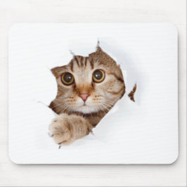 Niedlicher Funny Cat Tassen Cup Mousepad