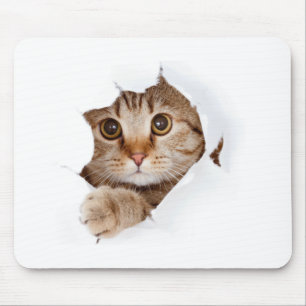 Niedlicher Funny Cat Tassen Cup Mousepad