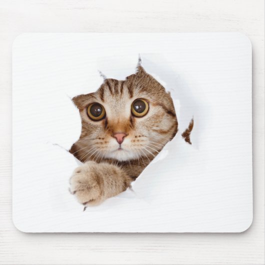 Niedlicher Funny Cat Tassen Cup Mousepad (Vorne)