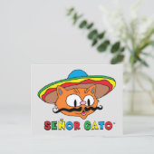 Niedlicher Funny Colorful Cartoon Cat Cinco de May Postkarte (Stehend Vorderseite)