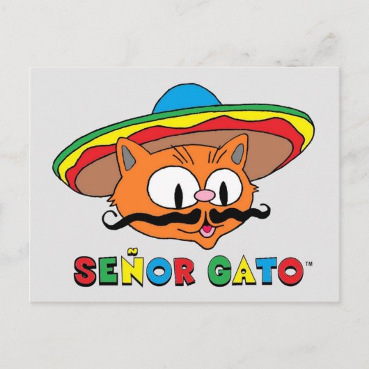 Niedlicher Funny Colorful Cartoon Cat Cinco de May Postkarte (Vorderseite)