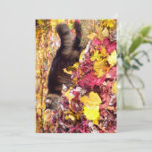 Niedlicher Funny Maine Coon Die Leaf-Inspektion (Stehend Vorderseite)