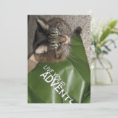 Niedlicher Funny Maine Coon Kitty Cat The Adventur (Stehend Vorderseite)