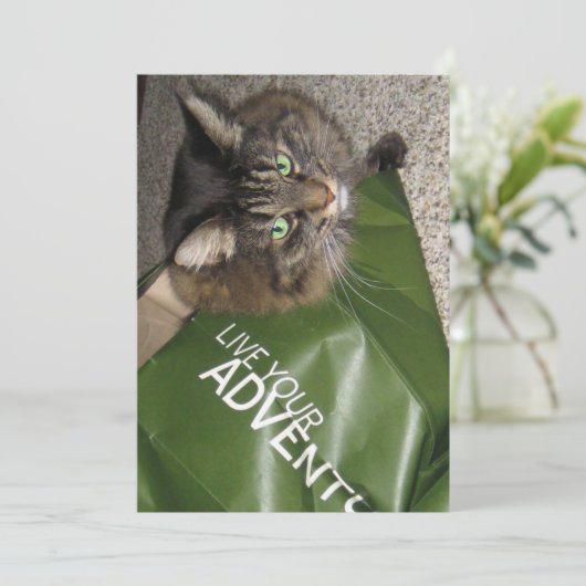 Niedlicher Funny Maine Coon Kitty Cat The Adventur (Stehend Vorderseite)