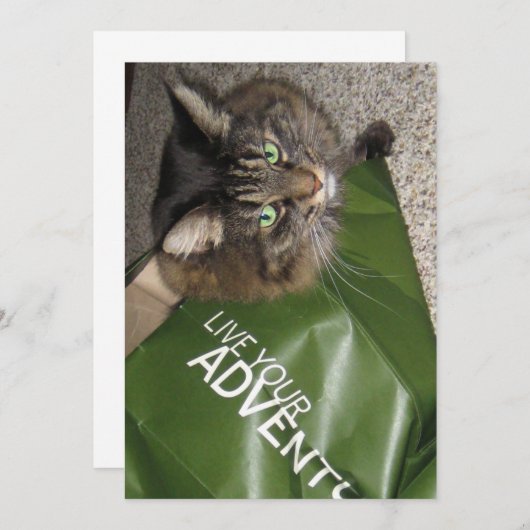 Niedlicher Funny Maine Coon Kitty Cat The Adventur (Vorne/Hinten)