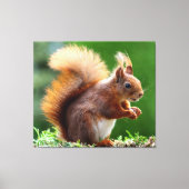Niedlicher Funny Squirrel Canvas-Druck Leinwanddruck (Vorderseite)