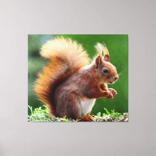 Niedlicher Funny Squirrel Canvas-Druck Leinwanddruck (Vorderseite)
