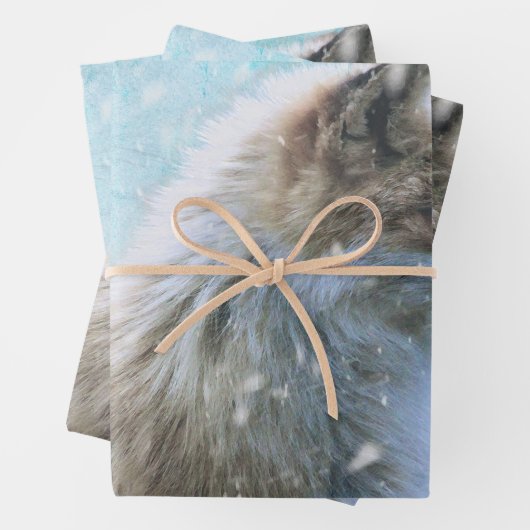 Niedlicher Furry Fox auf Blue Grunge Hintergrund Geschenkpapier Set (Beispiel)