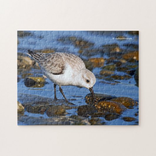 Niedlicher Futterfresser Sandpiper am Winter Beach Puzzle (Horizontal)