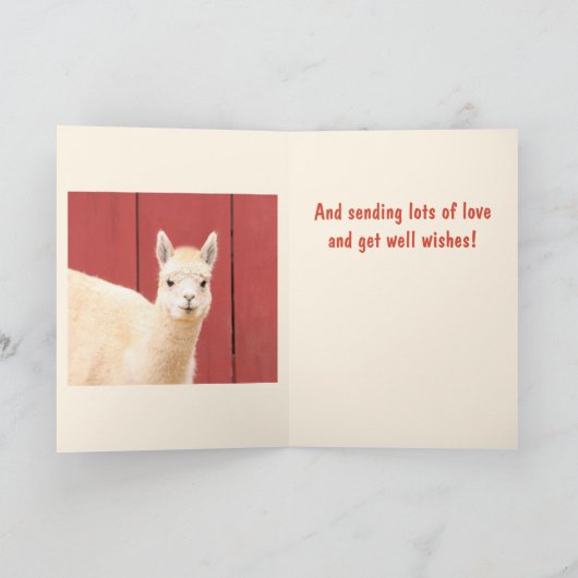 Niedlicher Fuzzy Llama wird gut Karte (Innenseite)