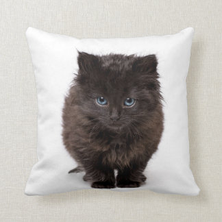 Niedlicher gähnender Kitty auf einem Kissen