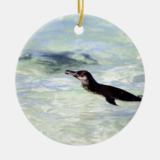 Niedlicher Galapagos-Pinguin Keramik Ornament (Vorne)
