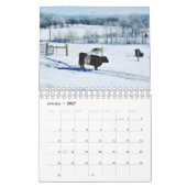 Niedlicher Galloway Beltie Strippenkuhkalender Kalender (Jan 2027)