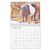 Niedlicher Galloway Beltie Strippenkuhkalender Kalender (Feb 2027)