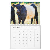 Niedlicher Galloway Beltie Strippenkuhkalender Kalender (Mär 2027)