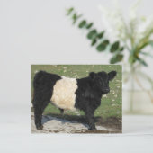 Niedlicher Galloway Calf Postkarte (Stehend Vorderseite)