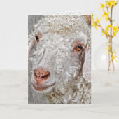 niedlicher Geburtstag von Ziegen Karte (Gelbe Blume)