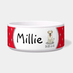 Niedlicher gefleckter Rottengelber Rückgrat Napf