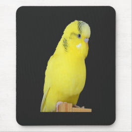 niedlicher gelber Wellensittich Mousepad