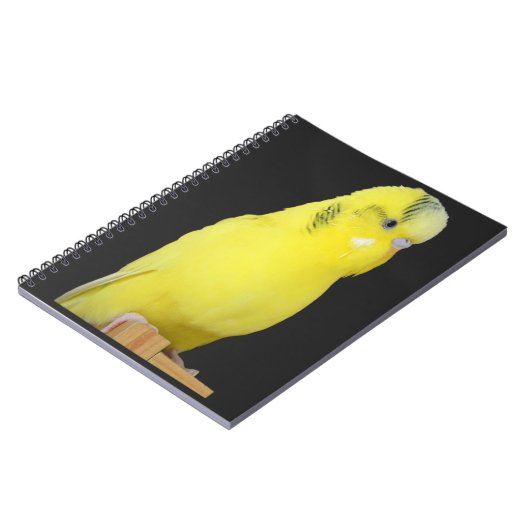 niedlicher gelber Wellensittich Notizblock (Linke Seite)