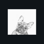 Niedlicher Gemäldedruck von Bulldog 12 Zoll x 12 Z Leinwanddruck<br><div class="desc">Wunderschöne,  von Tracy Stone gezeichnet Leinwand des französischen Bulldoggen 12" x 12" mit einem Original-Graphitstift</div>