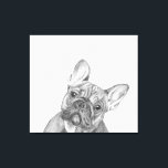 Niedlicher Gemäldedruck von Bulldog 12 Zoll x 12 Z Leinwanddruck<br><div class="desc">Wunderschöne,  von Tracy Stone gezeichnet Leinwand des französischen Bulldoggen 12" x 12" mit einem Original-Graphitstift</div>