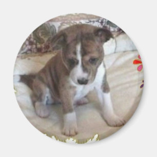 Niedlicher genug Basenji Welpen-Magnet Magnet