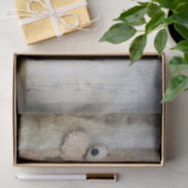 Niedlicher gepolsterter Bär Rustikale Holzwand Seidenpapier (Geschenk)