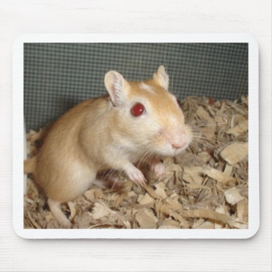 Niedlicher Gerbil Mousepad (Vorne)