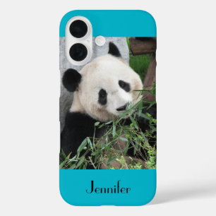 Niedlicher Gigant Panda Blue Hintergrund mit Namen iPhone 16 Hülle