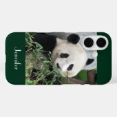 Niedlicher Gigant Panda dunkelgrüner Hintergrund, Case-Mate iPhone Hülle (Rückseite (Horizontal))